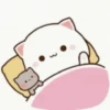 Kucing lucu 10