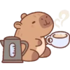 CAFÉ ☕️  17