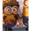 Minions  12