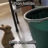 Funny Animal Memes 🐾 15