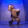 Monos animados  5
