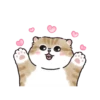 Meme Kucing Bucin Couple Cat 5