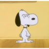 Snoopy 🤭 7