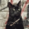 Gato Animado 8
