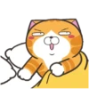 Happy Cat GIF 😸 12