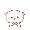 Kucing lucu 8