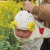 💕 Bebes Niños Kids 11💖Tiktok 8
