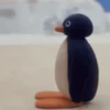 Pingu 5