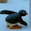 PINGUM🐧 11