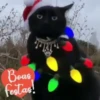 FELIZ NATAL, MEU POVO🎄🎅🏼 13