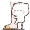 Cat Chan 16