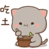Love peach Mochi cat love  13