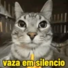 Gatos memes 8
