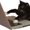 Gatos para el chat 🐱🤣 8