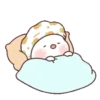 Chubby rabbit 6
