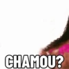 CHAMOU?