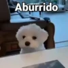 Perritos con Frases V.1🐶 8