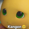 Kangen 65