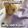 Funny's Rabbit 🥕🐇 10
