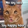 Gatos traviesos🐈🐾🐈‍⬛ 6