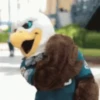 SuperBowl Washington Eagles 🦅🏈 11