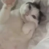 Dame un Grrr / Tiktok 😡🤬🤣 8