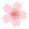 Plants and Flowers🌺🪴 28
