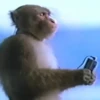 🎵 TIKTOKeando 20🎵 19