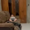 🎵 TIKTOKeando 37🎵 7