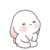 Chubby rabbit 9