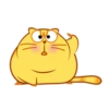 Enojo 8