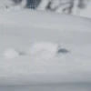 GIFs Bixins com Frio 2 🥶 14