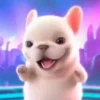 Perrito Pibble 🐶🌈 6