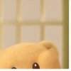 ᥫ᭡. Beruang Lucu GIFs ʕ ᵔⰙᵔ⠕ʔ 7