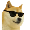 Perros para el chat 🤣🐕 16
