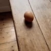 🔥Memes Gifs Nivel TikTok📡 8