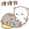 Love peach Mochi cat love  22