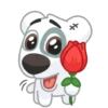 Dog Cute 🐶❤️‍🩹 7