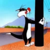 Gato Silvestre 7