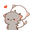 For lovers 11