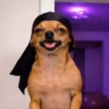🎵 TIKTOKeando 48 🎵 13