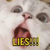 LIES!!!