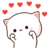 Amor 💖 Peach 🍑 y Goma Cat 🐈‍⬛ 19