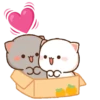 Amor 💖 Peach 🍑 y Goma Cat 🐈‍⬛ 11