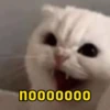 nooooooo