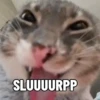 Meme kucing bergerak 😺 15
