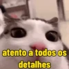 atento a todos os detalhes