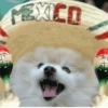 MEXICO さん