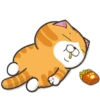 Happy Cat GIF 😸 15