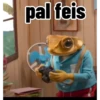 pal feis